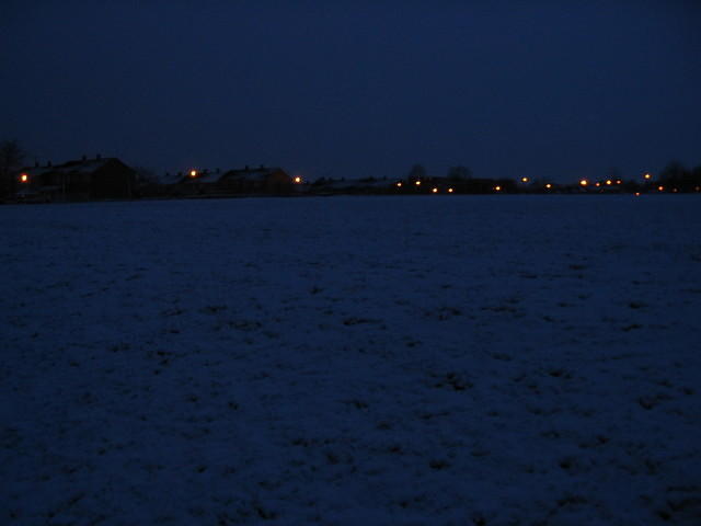 IMG_0602.jpg