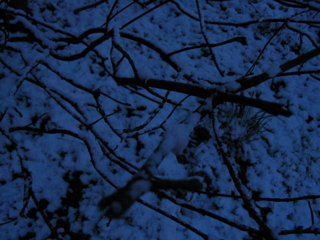 IMG_0604.jpg