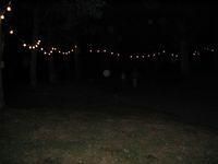 IMG_0043.jpg