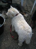 IMG_0053.jpg