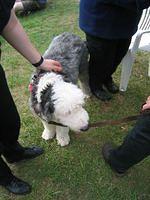 IMG_0081.jpg