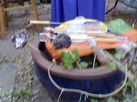 Image046.jpg