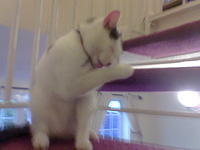 Image050.jpg