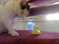 Image051.jpg