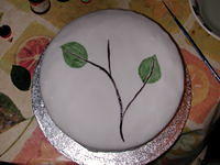 DSCN0065.jpg