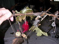 Img0063.jpg